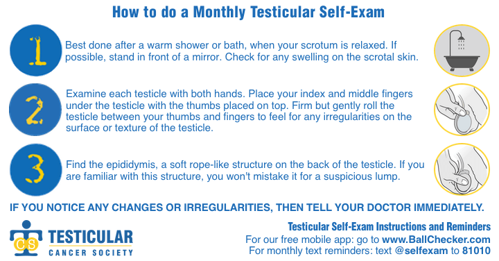 How To Check For Testicular Cancer In Three Easy Steps Urology